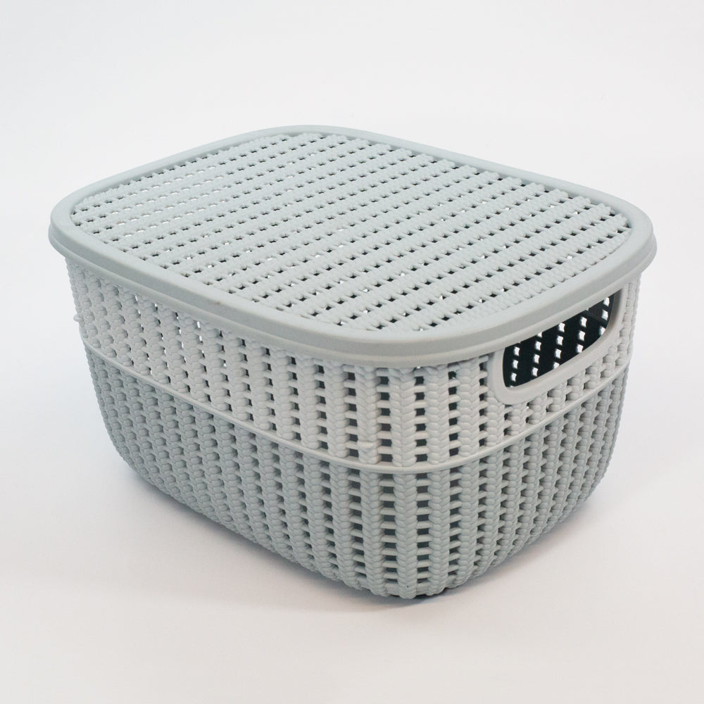 CESTA PLASTICA C/TAPA G-650/WL