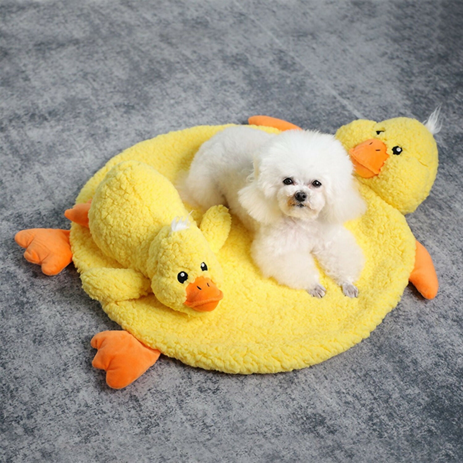 PATO MATT CON GRABADOR