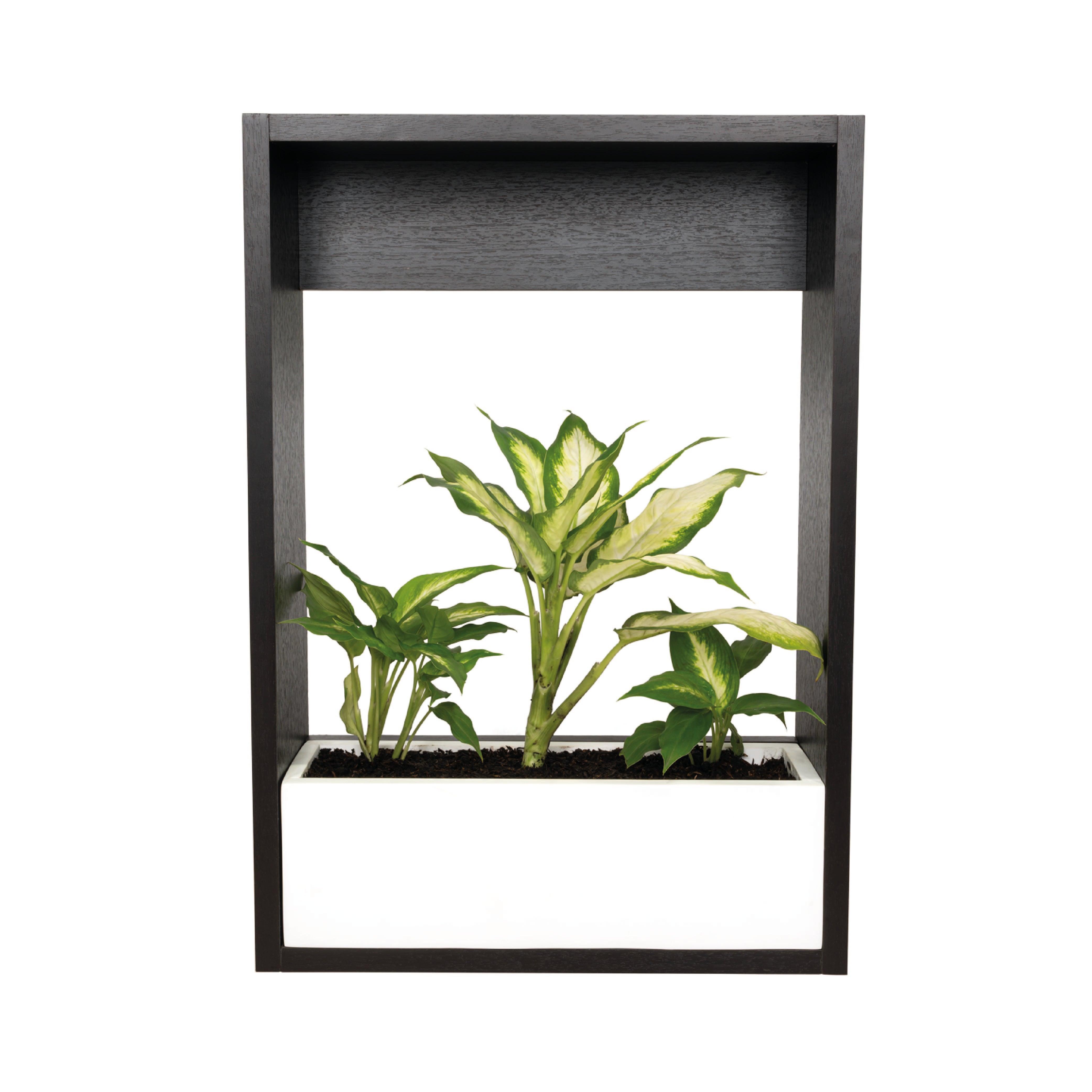 AGOTADA MATERA LEYLA 50, WENGUE Y BLANCO, DISEÑO PARA INSTALACIÓN EN LA PARED