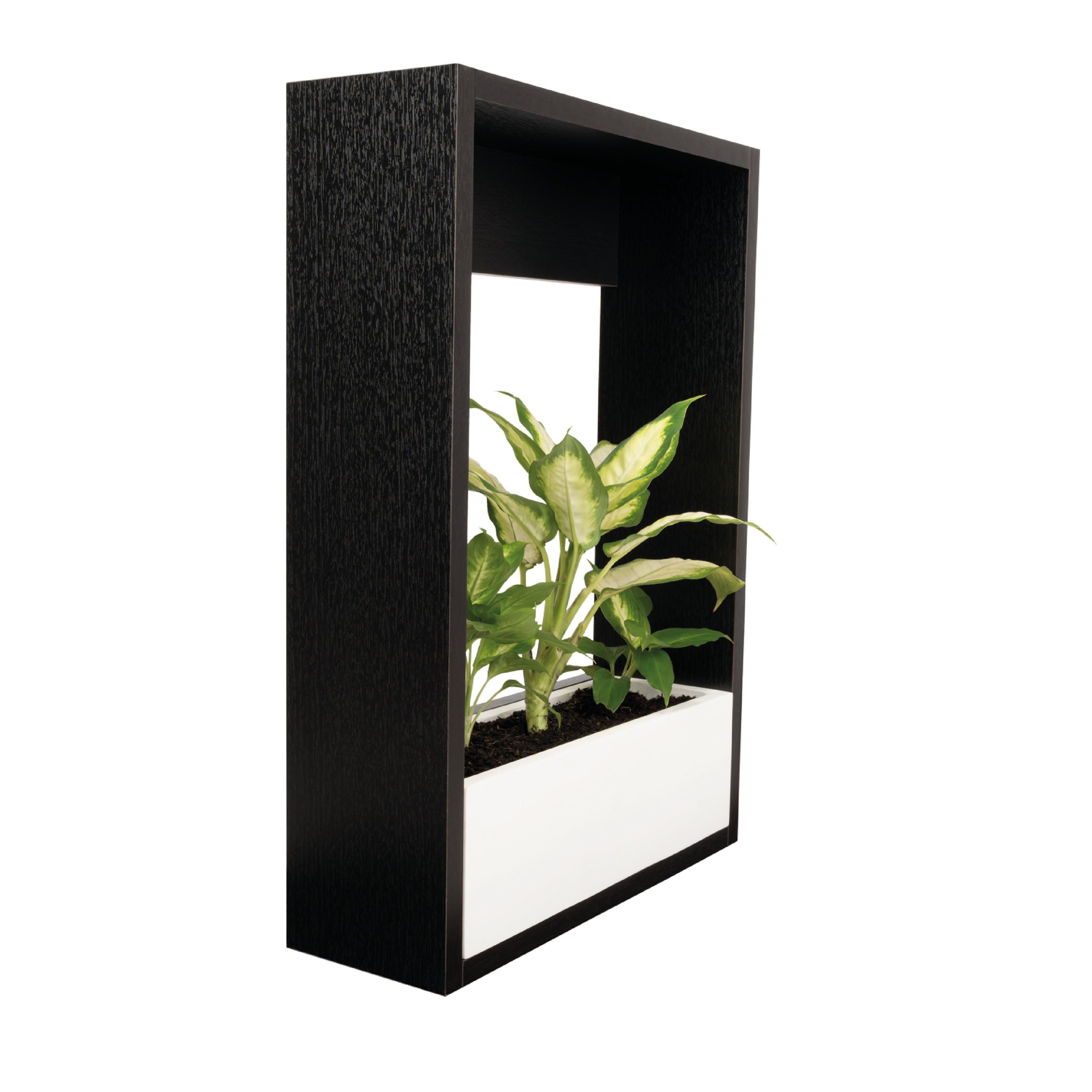 AGOTADA MATERA LEYLA 50, WENGUE Y BLANCO, DISEÑO PARA INSTALACIÓN EN LA PARED