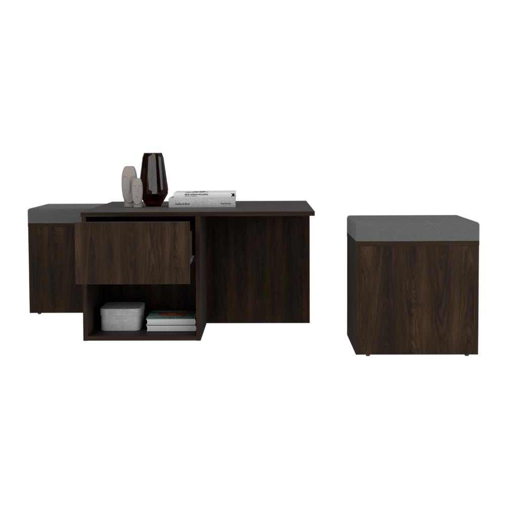 MESA DE CENTRO LUCIEN, NOGAL EUROPEO, CON ESPACIO PARA COLOCAR OBJETOS DECORATIVOS ZF