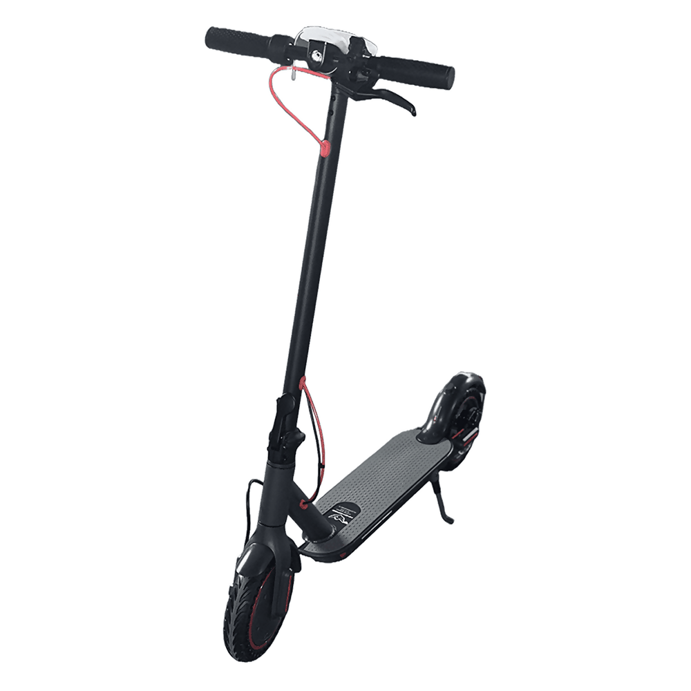 FL_0000s_0028s_0000_T1-3