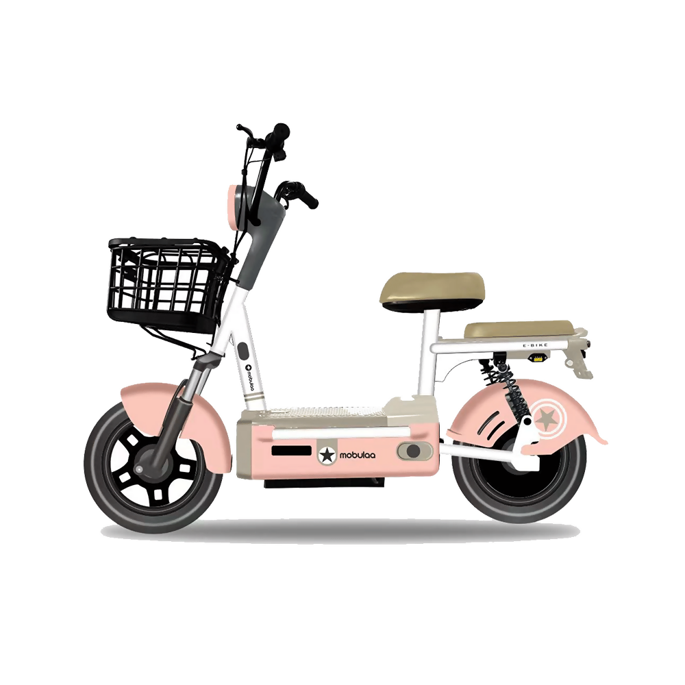 FL_0000s_0021s_0001_EB-1B-2