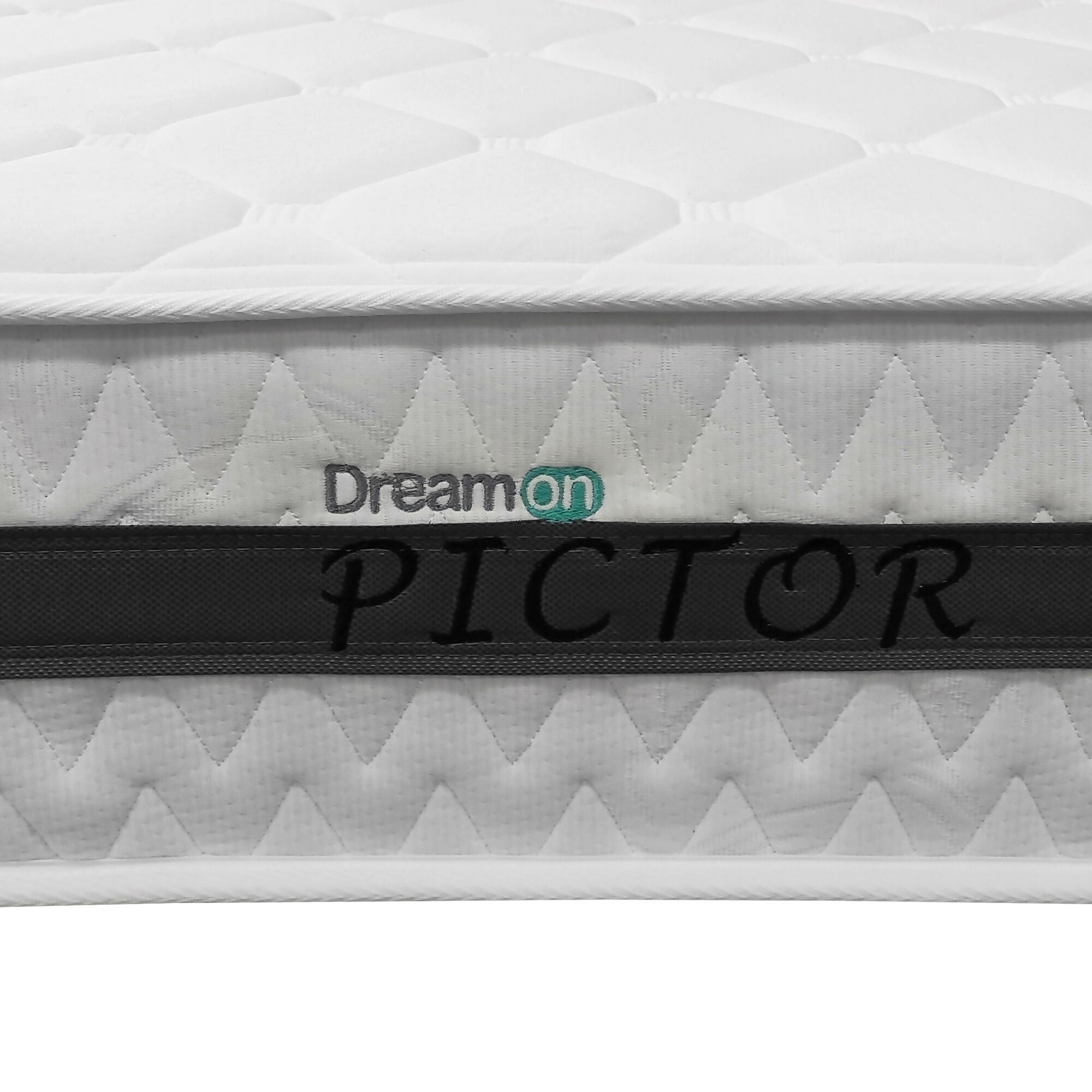 PICTOR LOGO