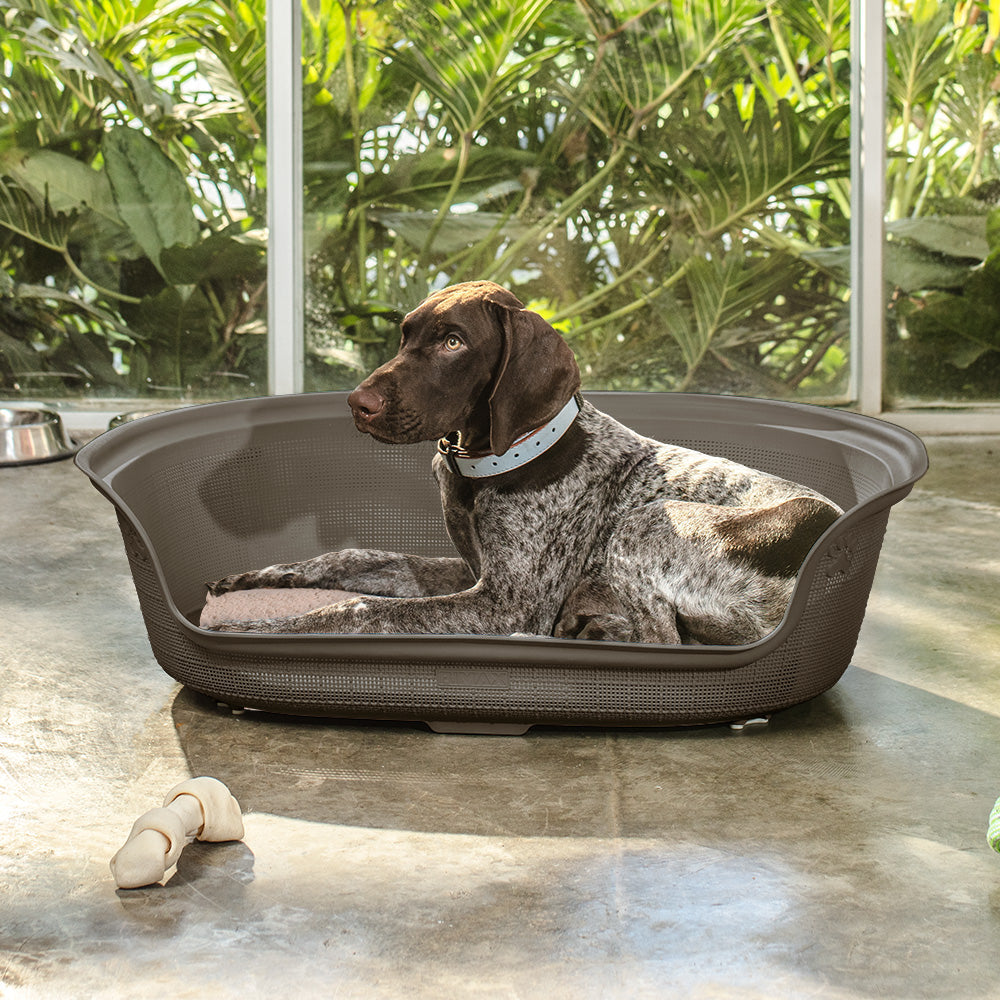 Cama para Perro Mocca