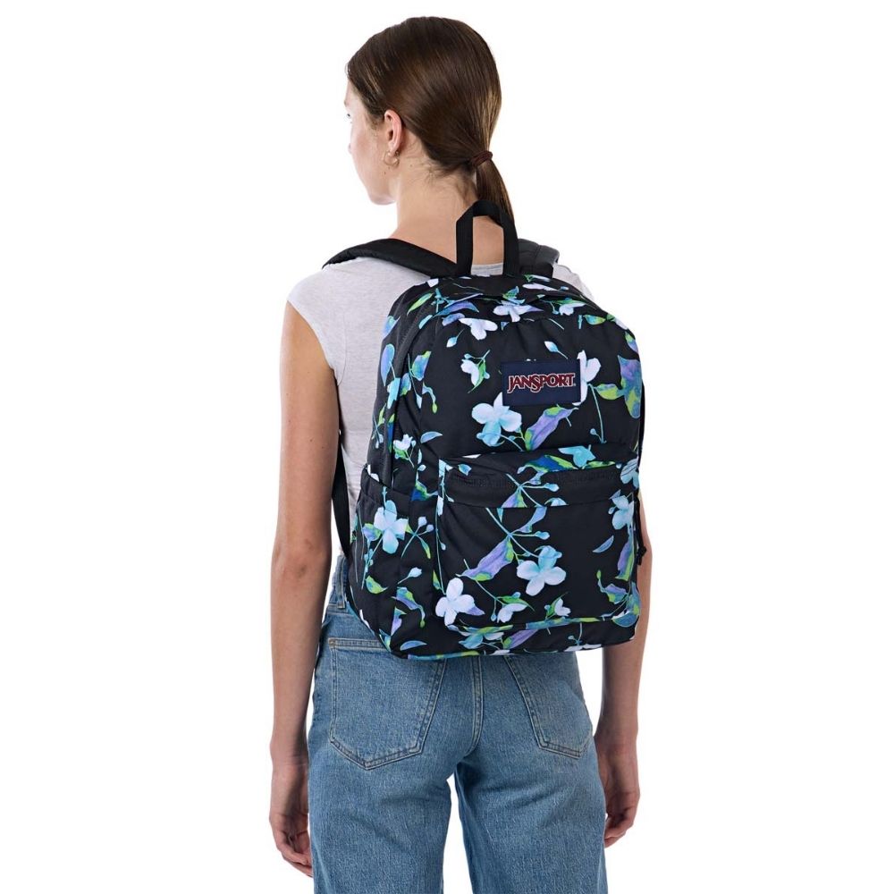 MORRAL SUPERBREAK PLUS PUNK PETALS JS0A4QUE-KW1