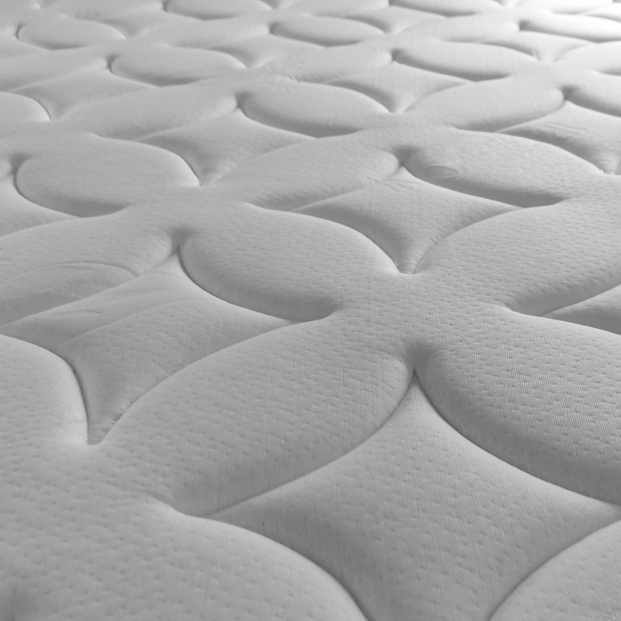 hydrus textura