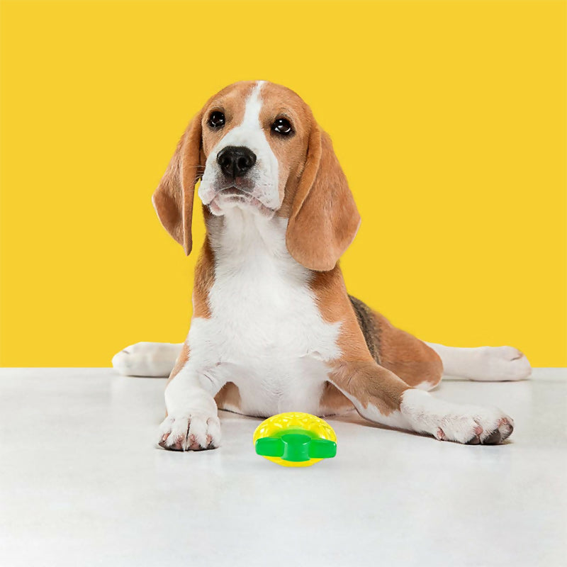 PIÑA JELLY PARA CACHORROS SONIDO MEDIO DOGL