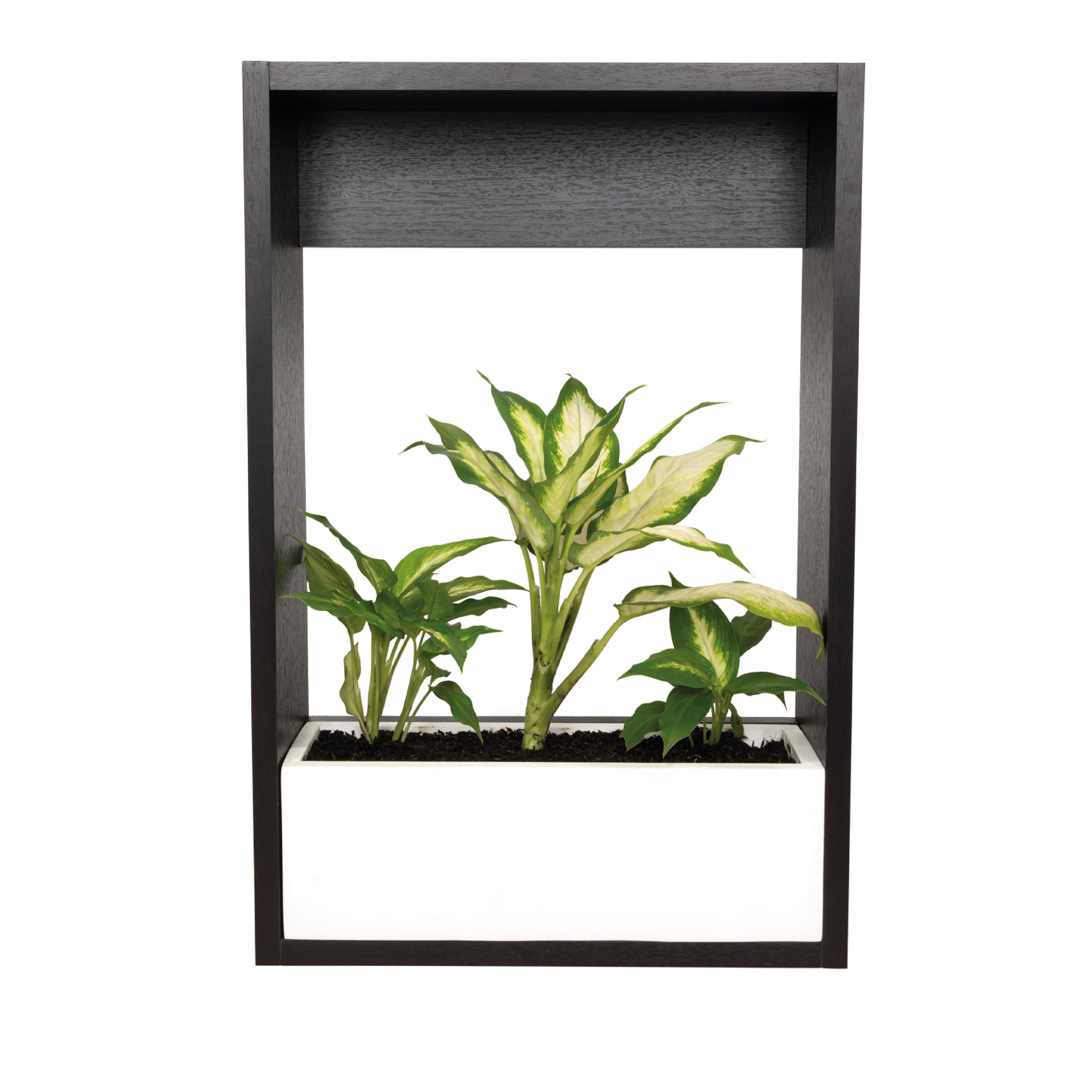 AGOTADO MATERA LEYLA 70, WENGUE Y BLANCO, DISEÑO PARA INSTALACIÓN EN LA PARED