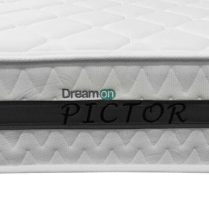PICTOR LOGO