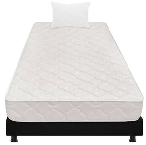 Base Cama 3