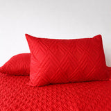Almohada siliconada + protector almohada Set x2